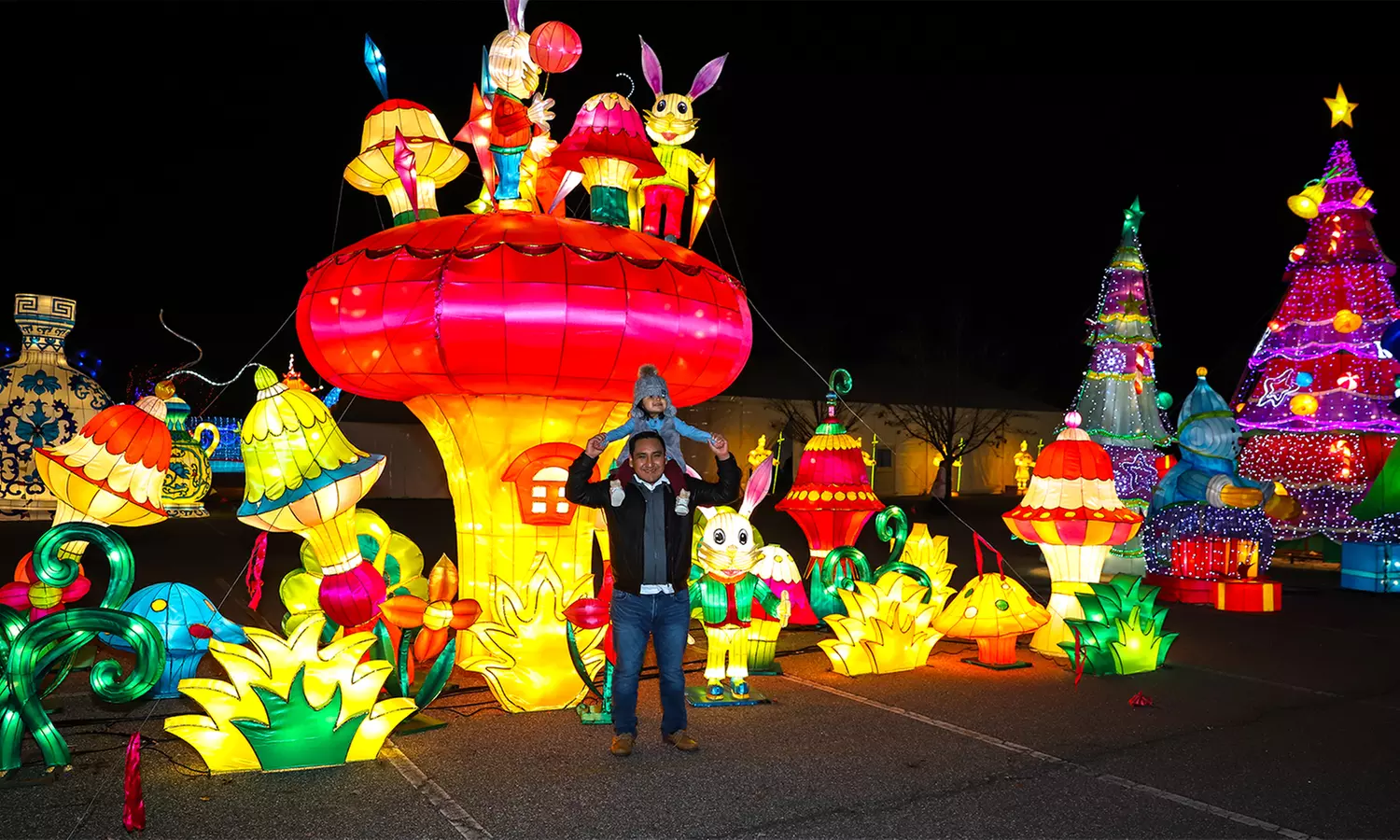 Light Show Single-Day General Admission at Illuminate on November 21, 2018–January 5, 2019 (Up to 40% Off) - Second Medium