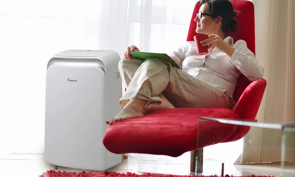 12,000 BTU Dual Hose 3 in 1 Portable Air Conditioner, Fan, and Dehumidifier - Primary Image
