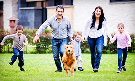 One Pest Control Treatment, or a Year's Worth of Pest-Control Treatments from EnviroSafe Pest Control (Up to 71% Off) - Primary Image