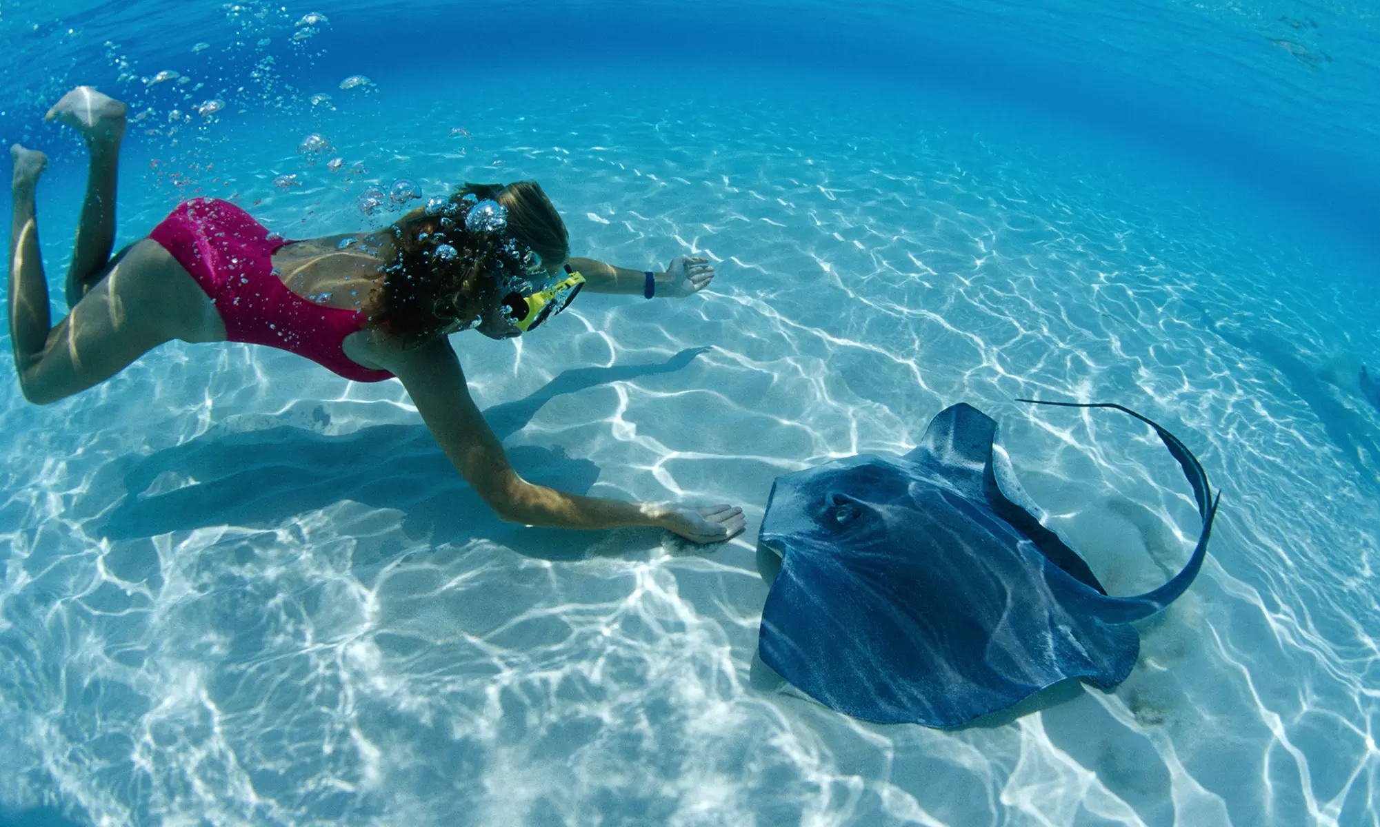$33 for a Pirate Snorkel Adventure and Admission at Long Island Aquarium (Up to $65.45 Value)  - Primary Image