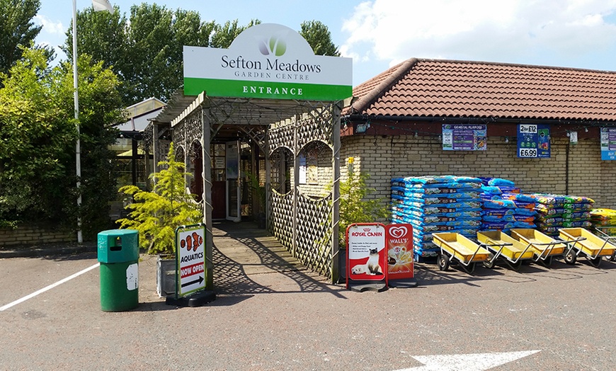 Image 2: Garden Centre Afternoon Tea £4.99