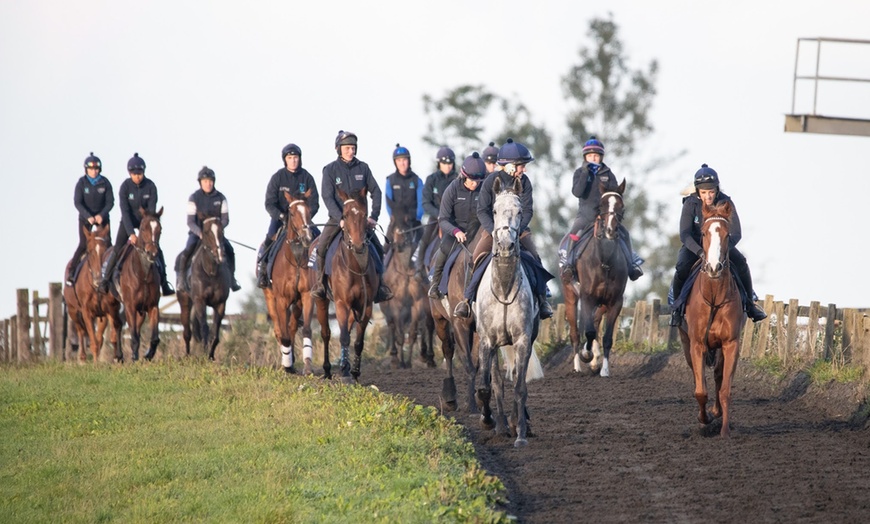 Image 6: Racehorse Owner Experience