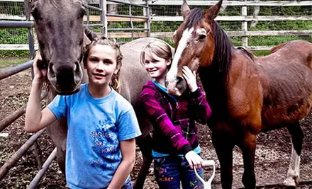 Two or Four Horseback-Riding Lessons at Punk Rock Pony (Up to 55% Off) - Primary Image