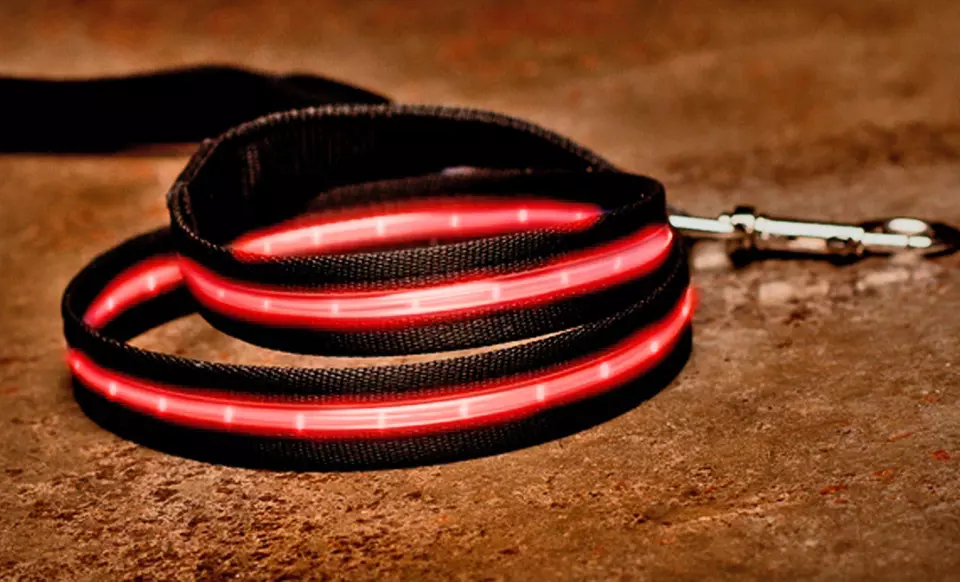 ShopTough LED Pet Collars and Leashes (Up to 78% Off). Multiple Colors and Sizes Available. Free Returns. - Second Medium