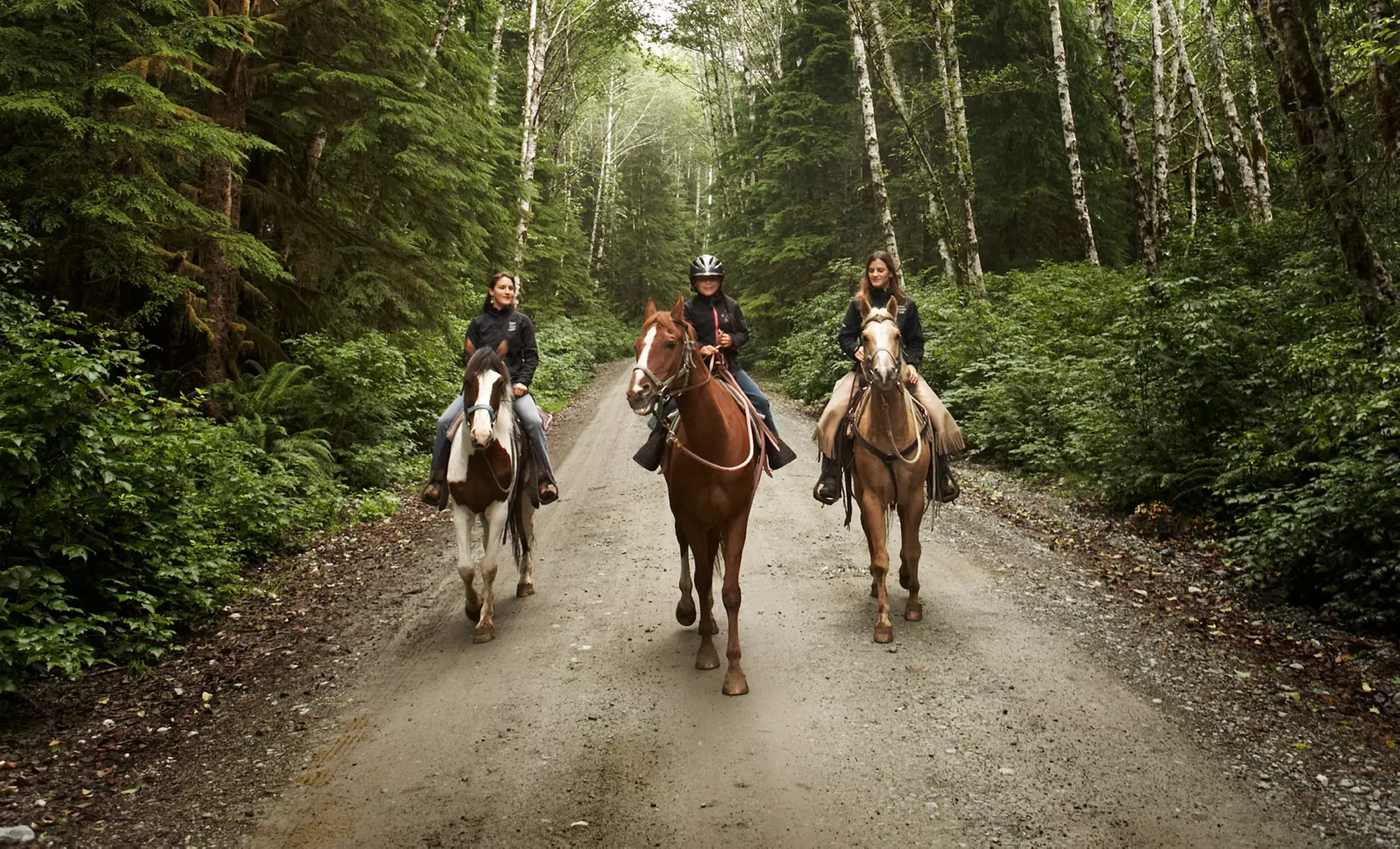 $14 for $25 Worth of Horseback-Riding Lessons — Celtic Cross Equestrian Center - Primary Image