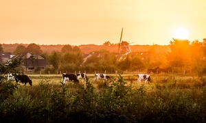 Natuur in Twente: 2-persoonskamer, naar keuze incl. ontbijt