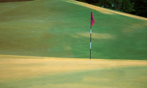 50% Off Golf at Old Orchard Country Club