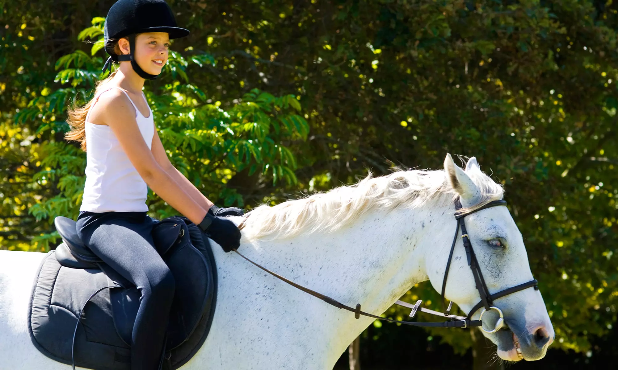 Two or Four 30-Minute Private Horseback-Riding Lessons at Stepping Stone Farm (Up to 54% Off) - Primary Image