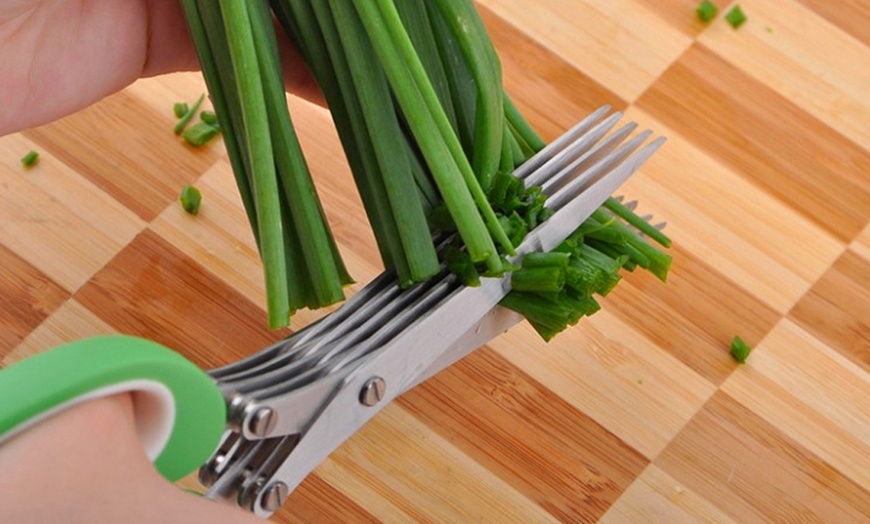 Image 3: Multi-Blade Herb Scissors