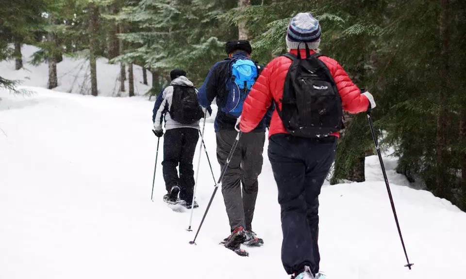 $75 for All-Day Snowshoeing Tour with Transportation and Lunch from Rare Earth Adventures ($150 Value) - Primary Image