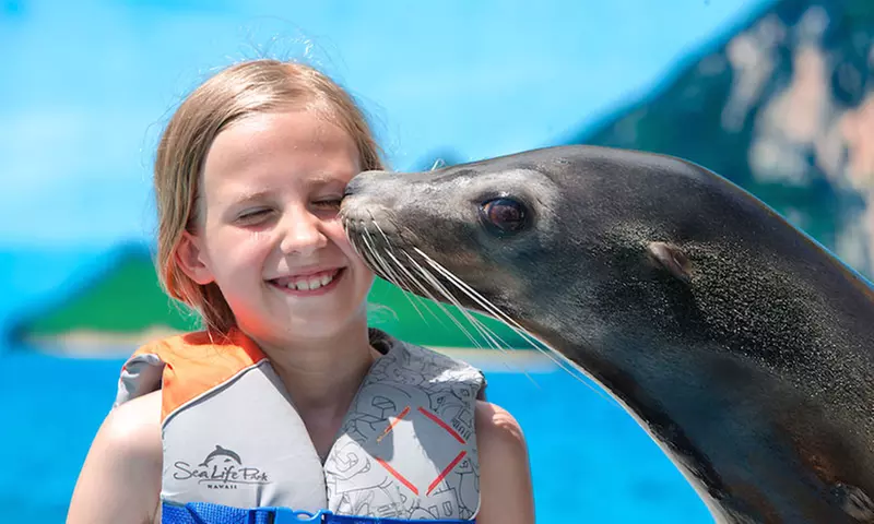 Single-Day Admission or Sea Lion Swim at Sea Life Park (Up to 27% Off)  - Second Medium