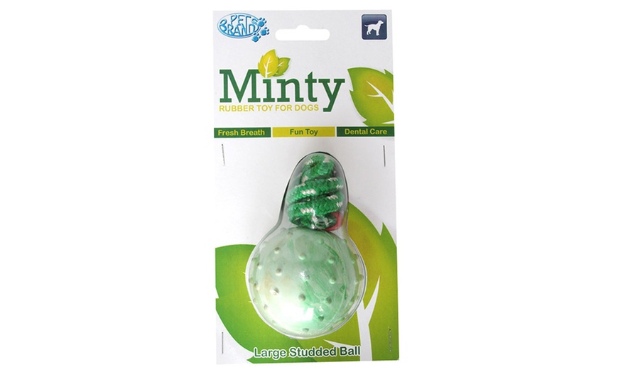 Image 3: Minty Rubber Toys for Dogs 