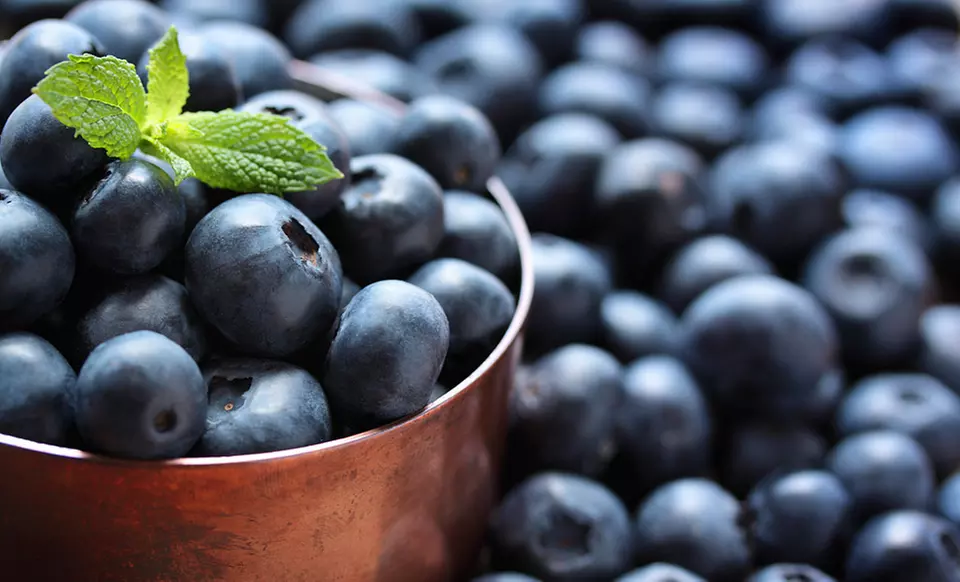 Northern or Southern Blueberry-Growing Kit. Free Returns. - Primary Image