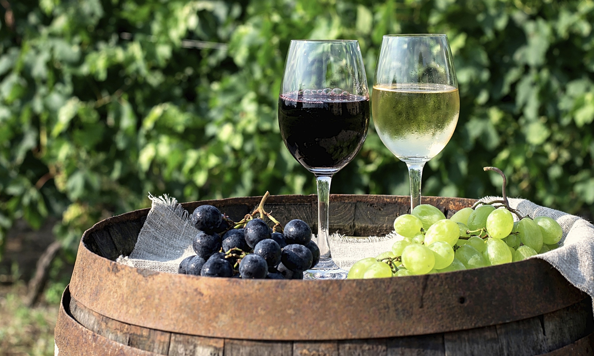 Wein-Verkostung von deutschen Weinen inkl. Snack für 2 oder 4 Personen