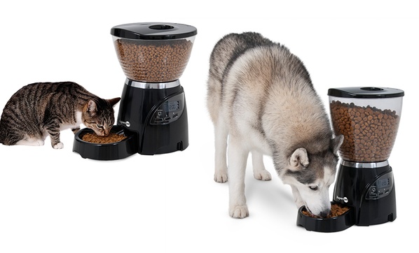 Le bistro outlet cat feeder