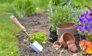 Garden Design, Landscaping Course