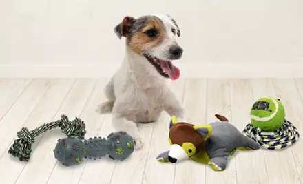 $15 for a Four-Pack of Animal Planet Dog Toys ($39.99 List Price) - Primary Image
