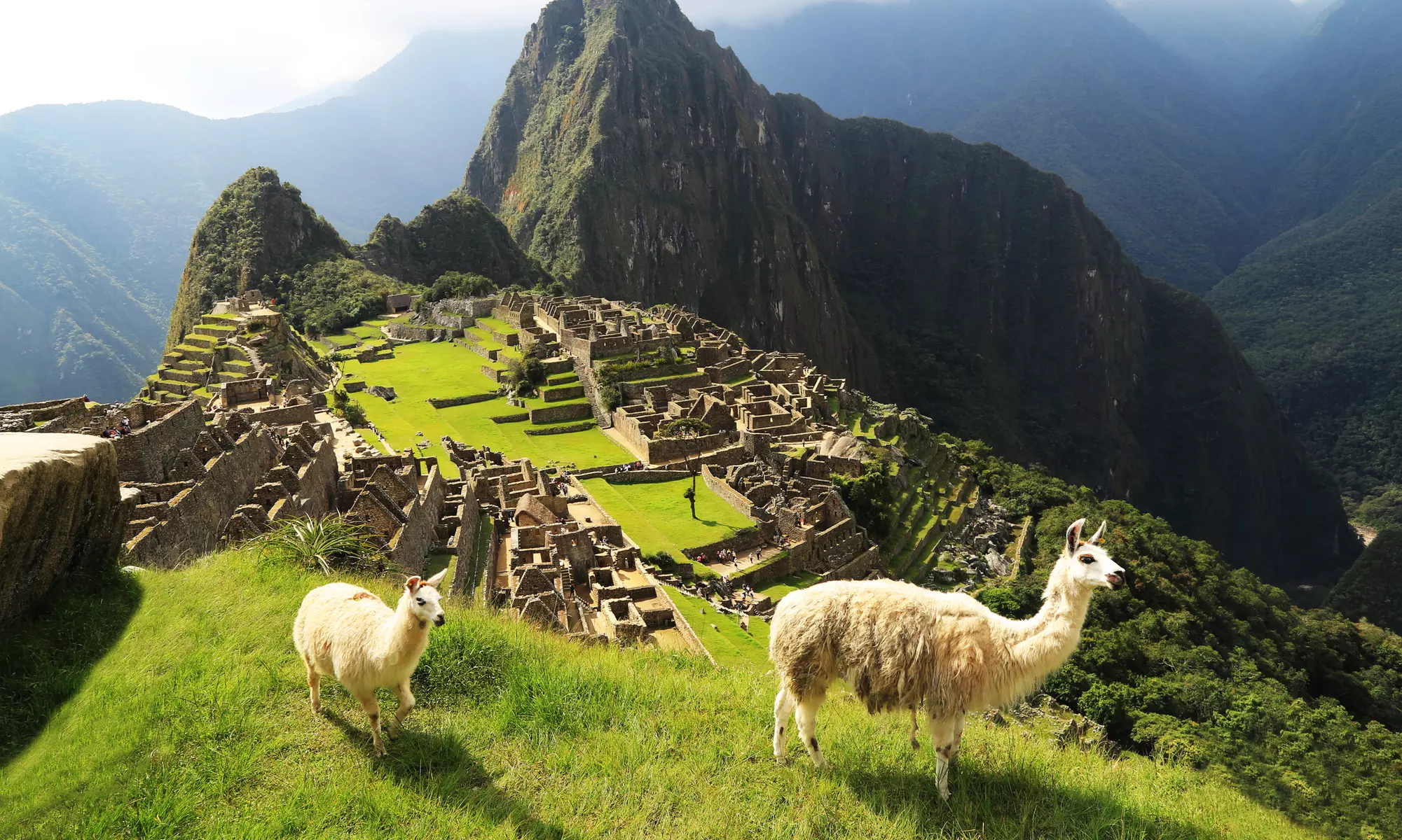 ✈ 8-Day Tour of Peru w/ Airfare from Indus Travels. Price per Person Based on Double Occupancy. (Buy 1 Groupon/Person) - Primary Image