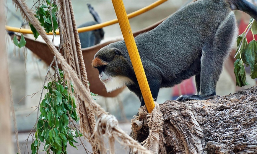 Image 5: ¡Diversión familiar! Entrada a Terra Natura Murcia para 1 a 4 personas