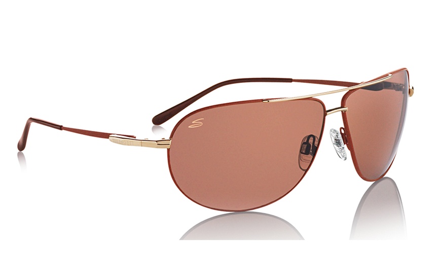 Image 6: Men's Serengeti Sunglasses