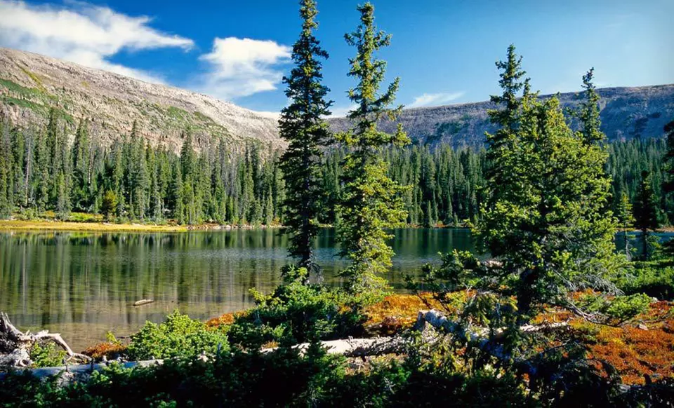 Two- or Three-Night Stay with Optional ATV Rental at The Cabins at Bear River Lodge in Summit County, UT - Primary Image