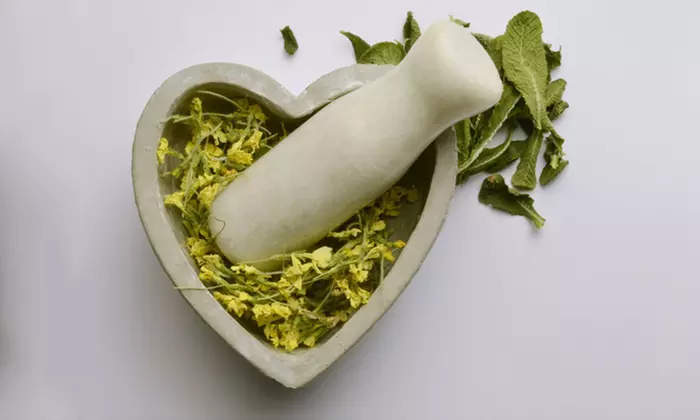 Master Herbalist Course