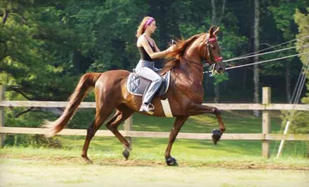 $45 for Two Private Horseback-Riding Lessons at Rocking S Farm Riding Academy ($90 Value) - Primary Image