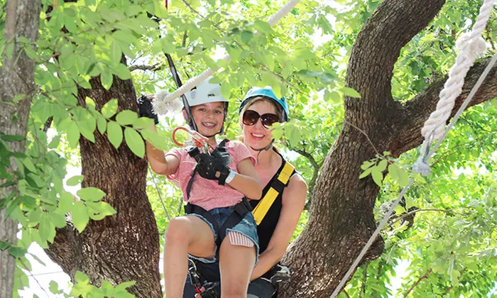 $22 for an Aerial Adventure Course Experience at Trinity Forest Adventure Park (Up to $44.95 Value)  - Primary Image
