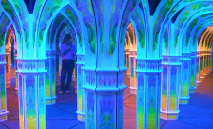 Visit for 2, 4, 6, or 15 to Magowan's Infinite Mirror Maze (Up to 51% Off) - Primary Image