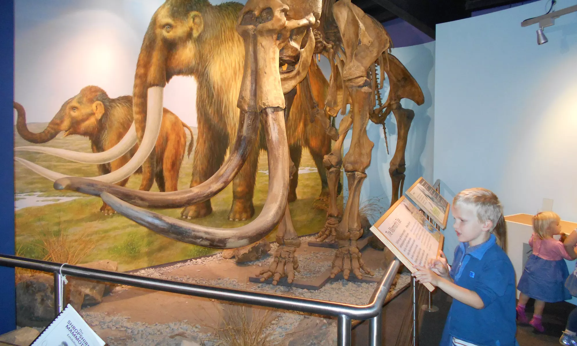 Entry to Shropshire Hills Through Time Exhibition!