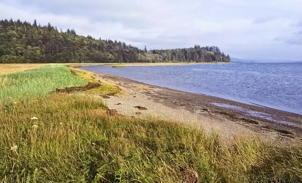 Stay at The Grey Gull in Ocean Shores, WA, with Dates into October - Primary Image