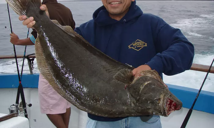 Half-Day Fishing Trip for One or Two with Optional Meal from Davey's Locker Sportfishing (Up to 54% Off) - Second Medium