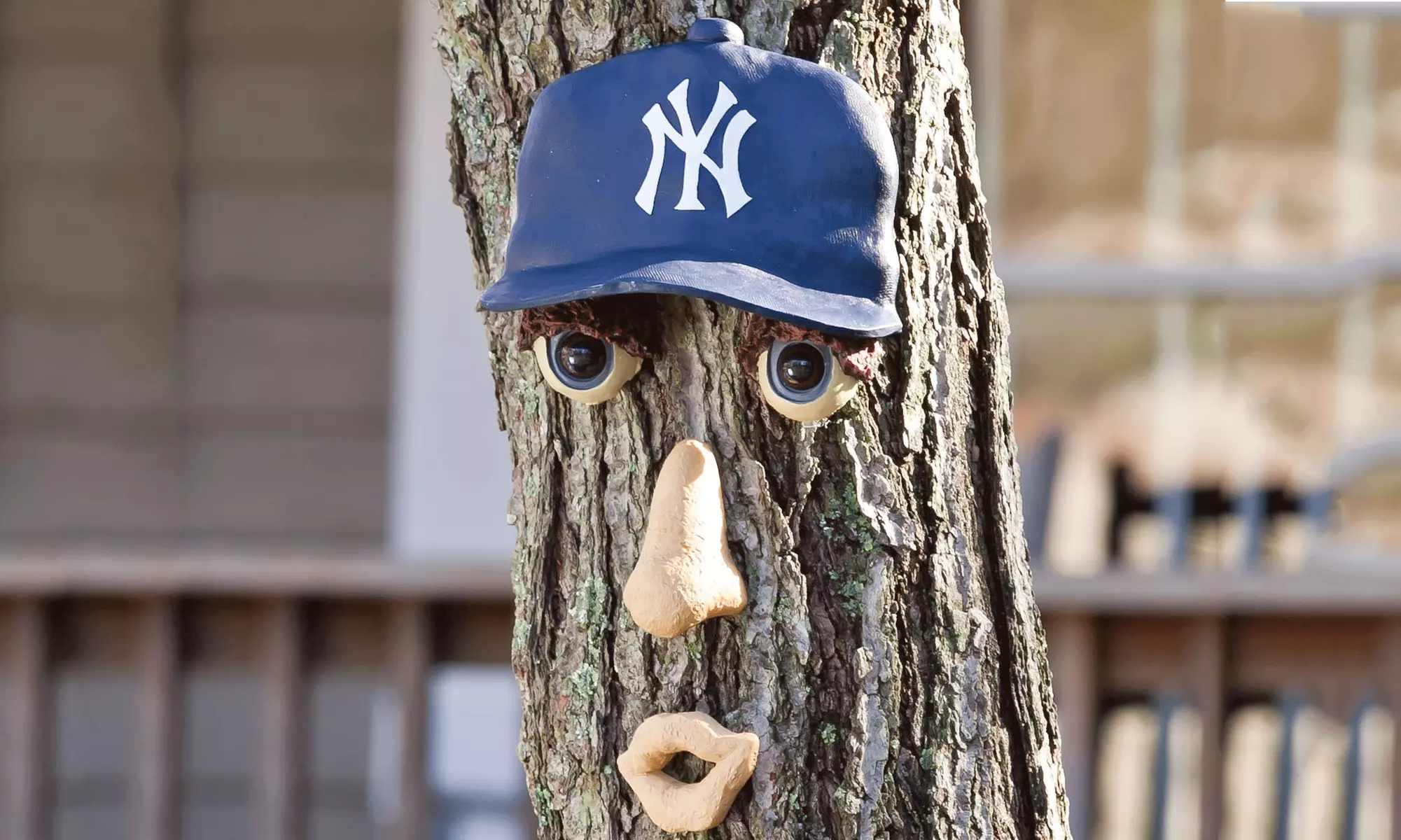 MLB Forest Face Tree Decor - Primary Image
