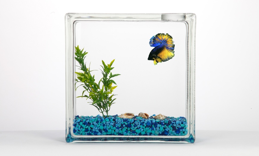 AquaBlock Fish Tank | Groupon Goods