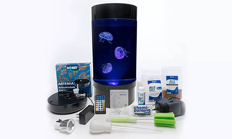 Jellyfish Nano Jelly Kit or Cylinder Jelly Kit from Jelly Fish Art - Second Medium
