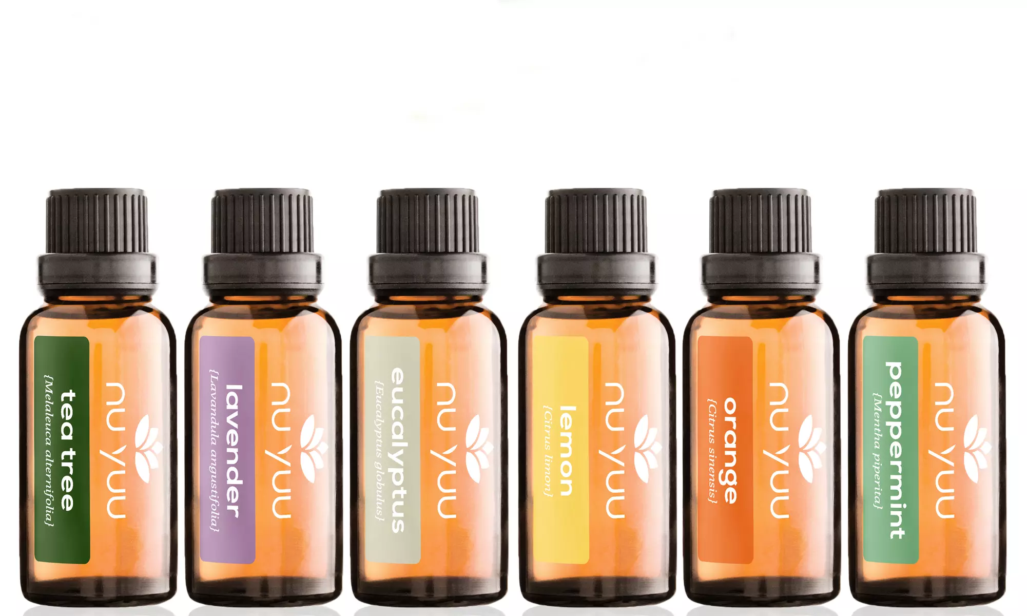 Nu Yuu 100% Pure Therapeutic-Grade Essential Oils 30ml (6-Pack) - Primary Image