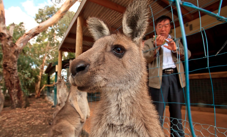 Image 2: Warrook Farm Tour