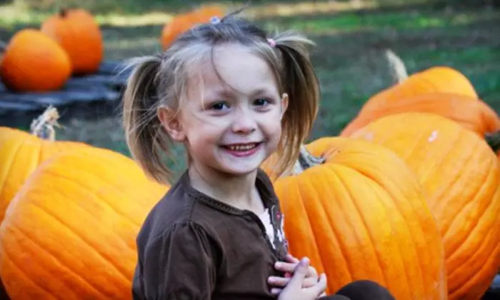 $14 for Autumn Outing with Hayride, Train Rides, and Pumpkins for a Family with Two Kids ($21 Value)  - Primary Image