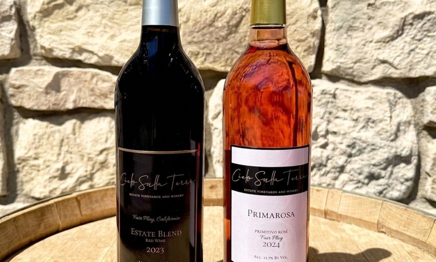 Image 13: Wine Tasting Experience w/ Personal Charcuteries for Up to 4 and More