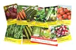 Mixed Flower and Vegetable Lucky Dip Seed Bumper Bundle - 50 or 100 Packs - Second Medium