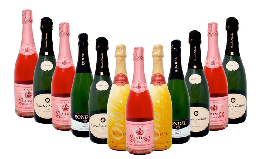 Image 1: 12 Bottles of Mixed Cava