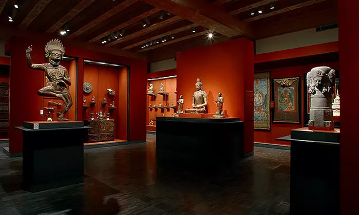 Active or Family Rhino Membership at                           Asian Art Museum (Up to 60% Off) - Primary Image
