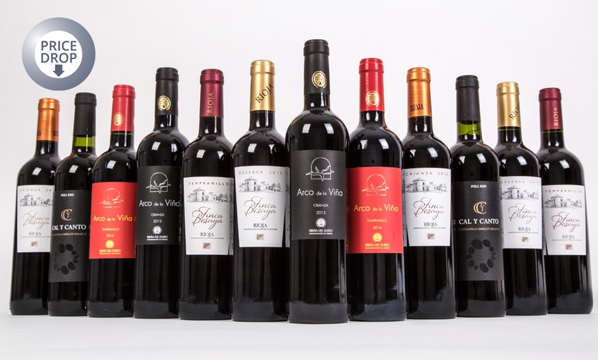 Image 1: 12 Bottles Mixed Spanish Red Wine