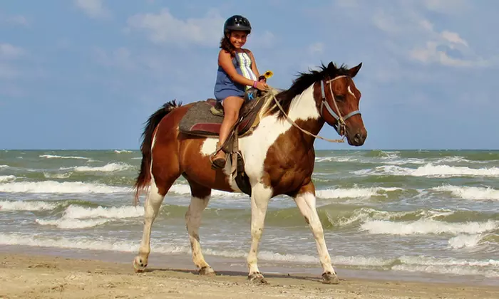 One-Hour Horseback Riding for One or Two at Horses on the Beach: Corpus Christi (Up to 30% Off). Four Options.  - Second Medium