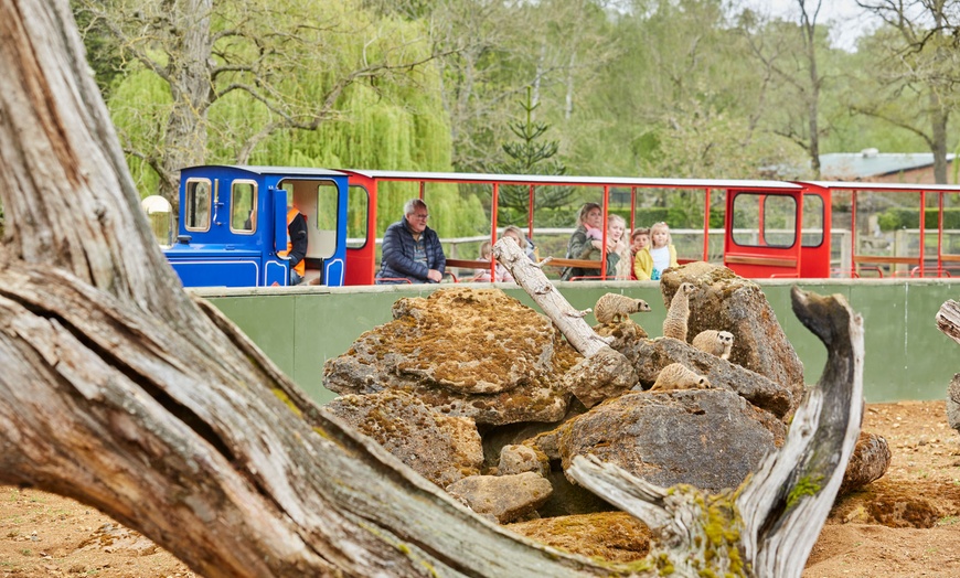 Image 8: Entry Ticket to Beale Wildlife Park