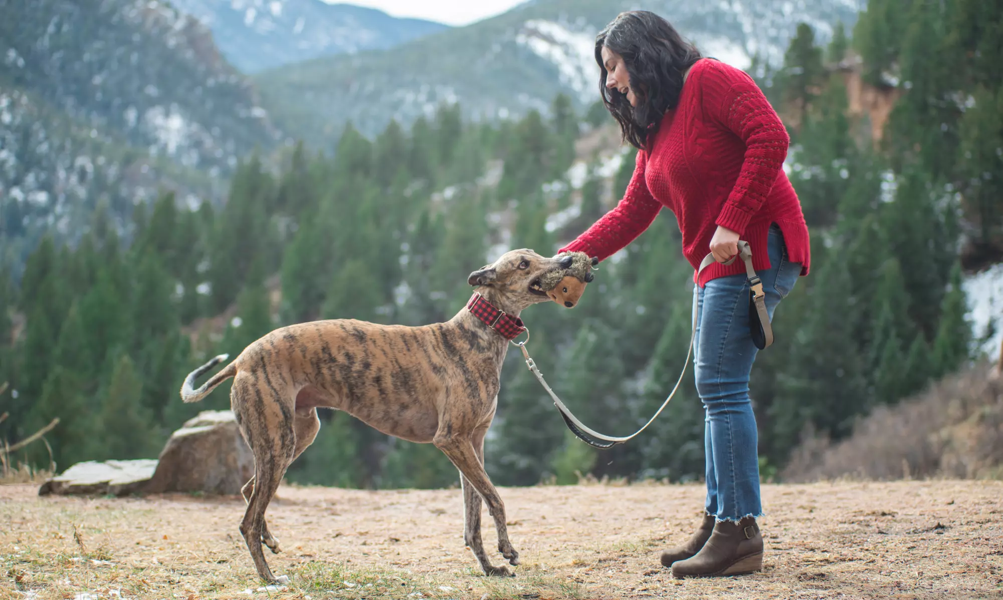 $70 for a 60-Minute Outdoor Photoshoot from McGinness Photography ($250 Value) - Primary Image