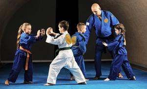 Martial Arts Classes for Kids