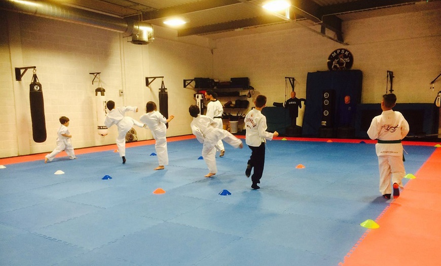 Image 13: Two Kids Taekwondo Lessons