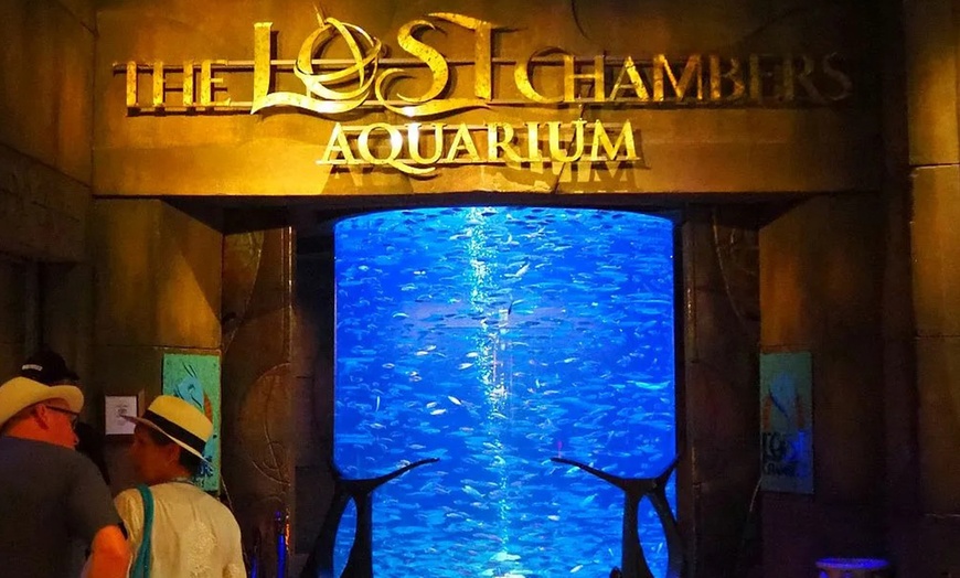 Image 7: The Lost Chambers Aquarium Tickets at Peace Land Travel and Tourism