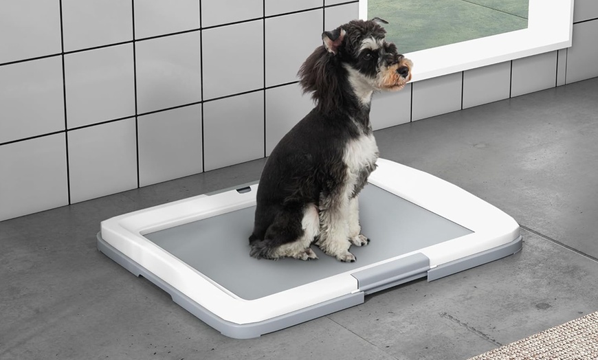 Image 1: PawHut Dog Toilet Tray in Two Sizes